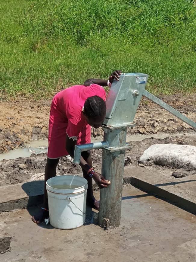 Water quality testing